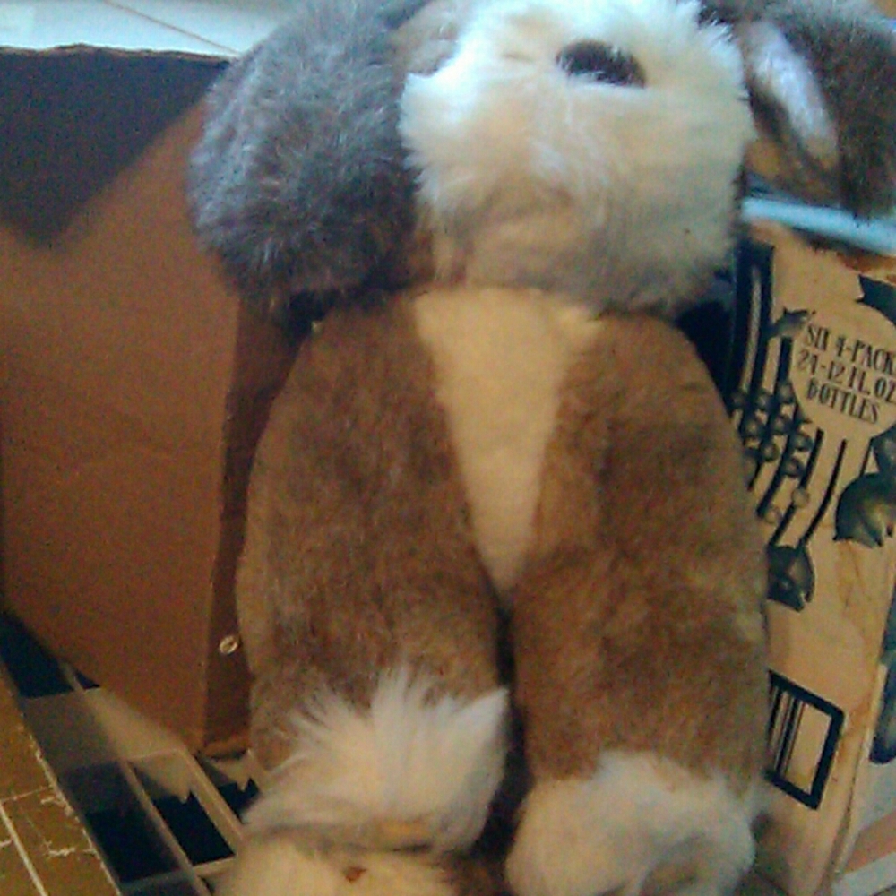 Stuffed toy
